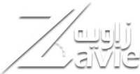 cropped zavie logo shadow.png